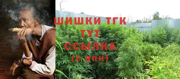 тгк Алексин