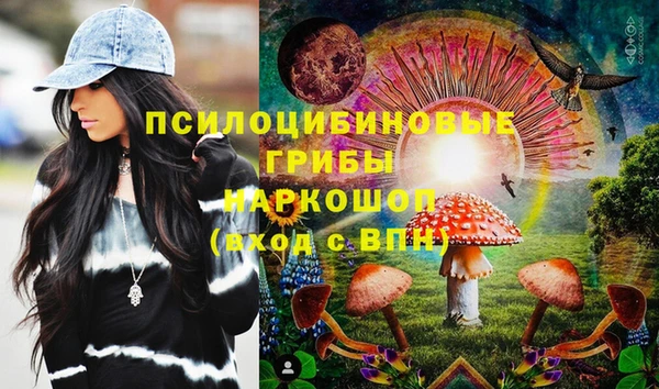 ГАЛЛЮЦИНОГЕННЫЕ ГРИБЫ Алзамай