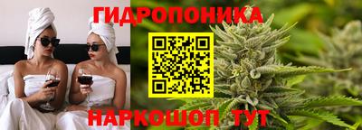 СК Кандалакша