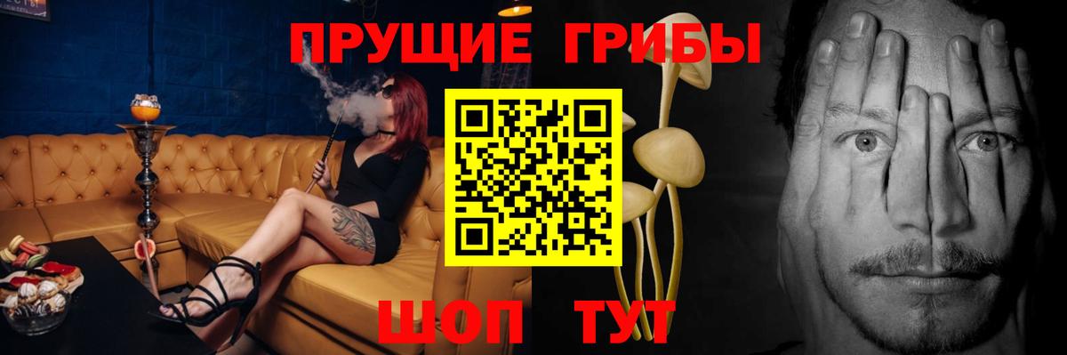 Кимры  Галлюциногенные грибы GOLDEN TEACHER  Вход с VPN 
